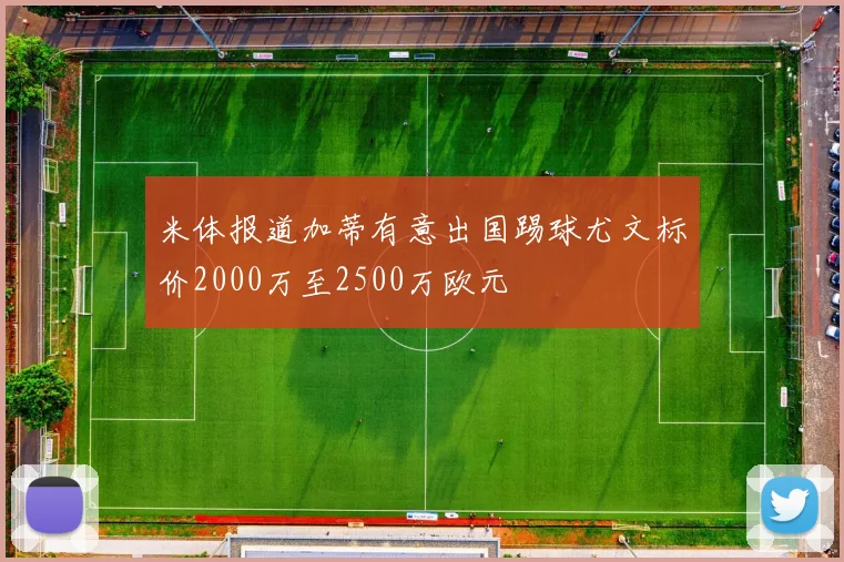 米体报道加蒂有意出国踢球尤文标价2000万至2500万欧元
